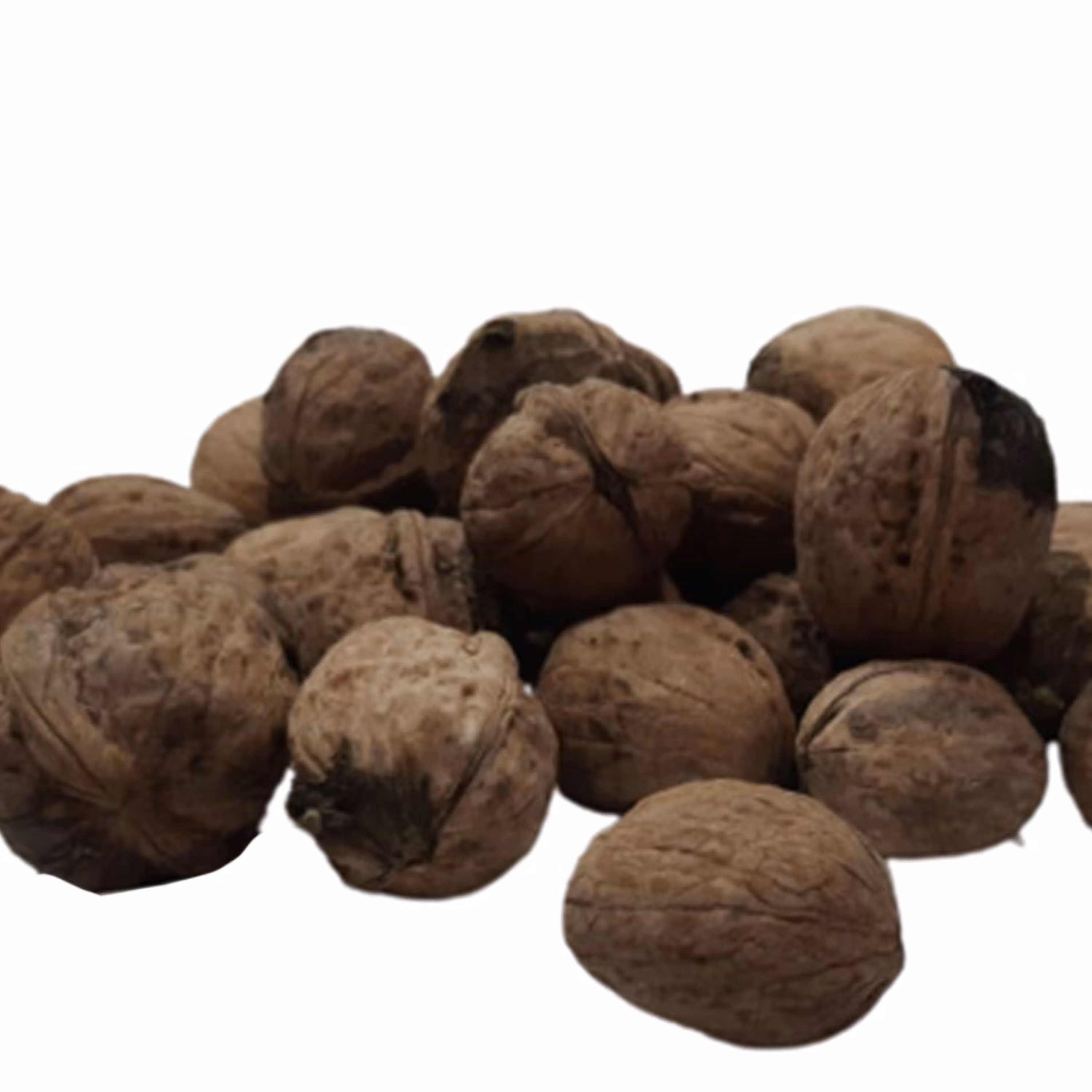 گردو سفید پوست کاغذی درجه یک 1 کیلویی