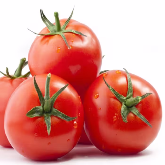بذر گوجه فرنگی قرمز بوته ای آبدار
