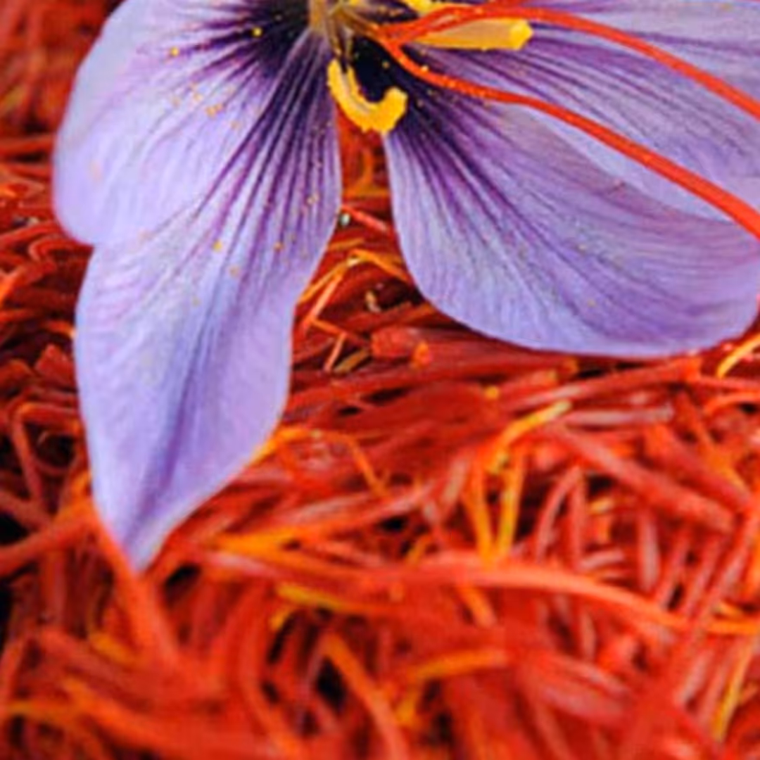 زعفران نگین درجه 1 تولید140107باضمانت مرجوعی مستقیم از کشاورز به مصرف کننده