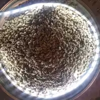 دانه قهوه سبز اندونزی تازه و درجه یک اصل(500گرم)
