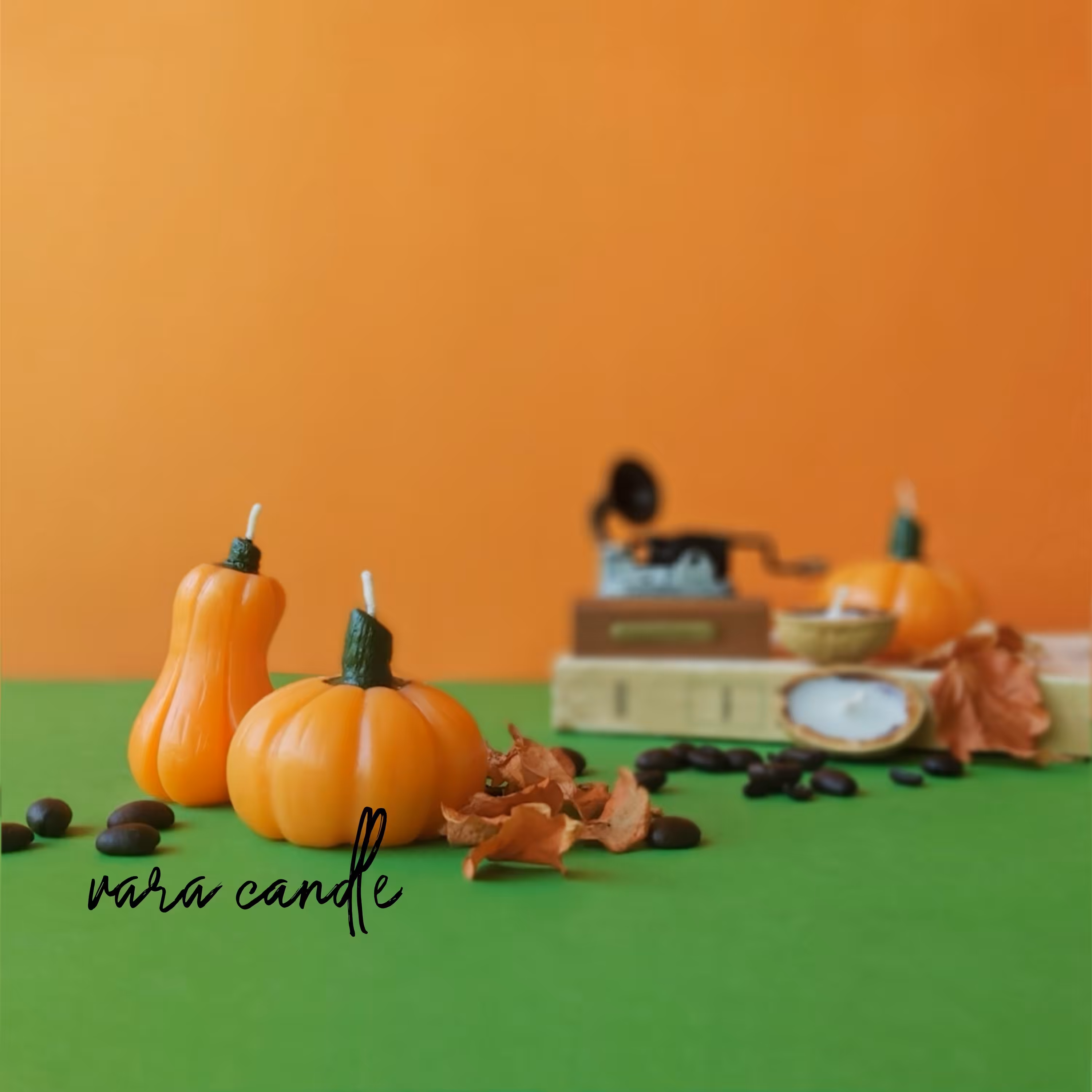 شمع کدو دراز