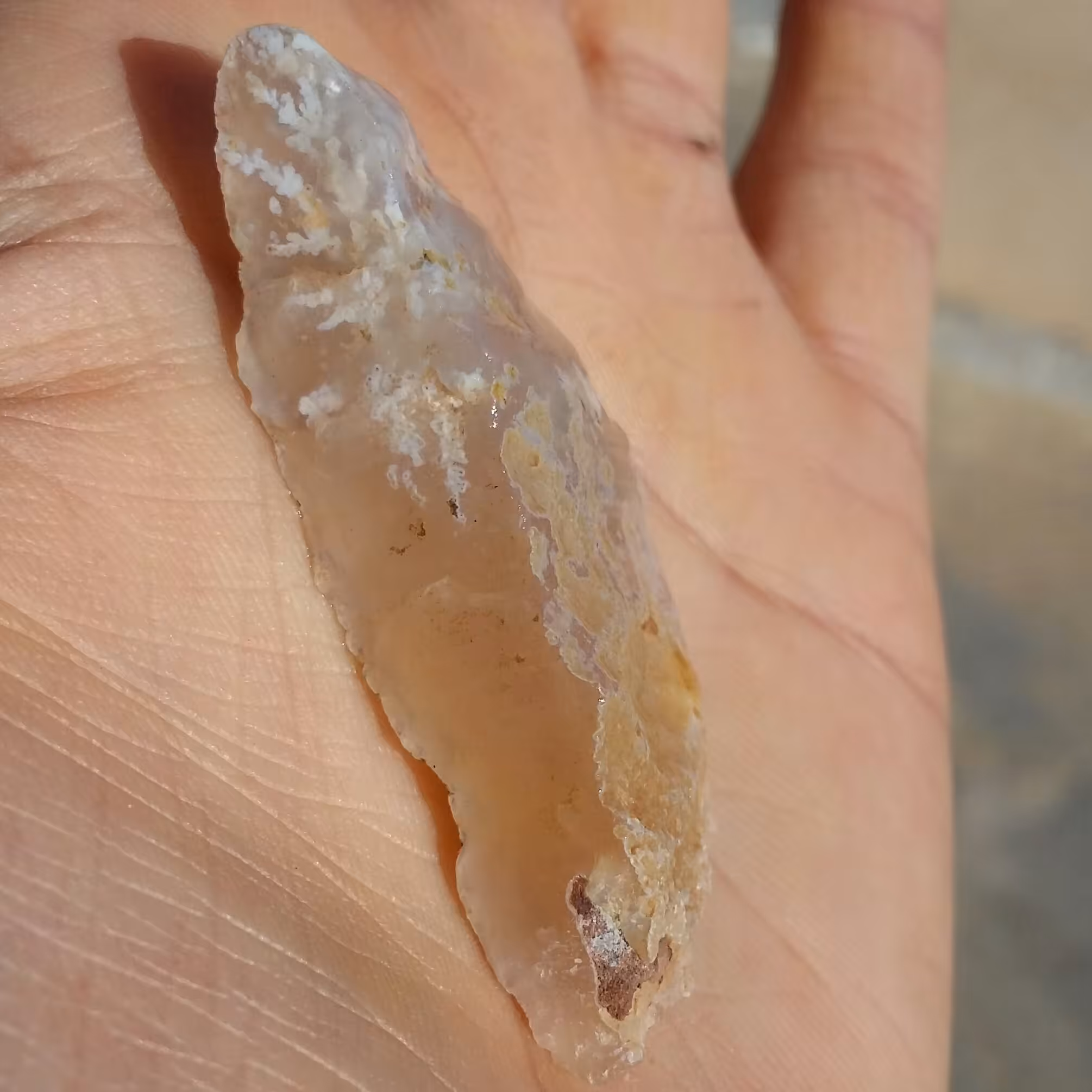 سنگ راف شجر شکوفه سفید محشر صد در صد طبیعی شاهکار خلقت
تابلو نقاشی طبیعی خا ا ا ص
