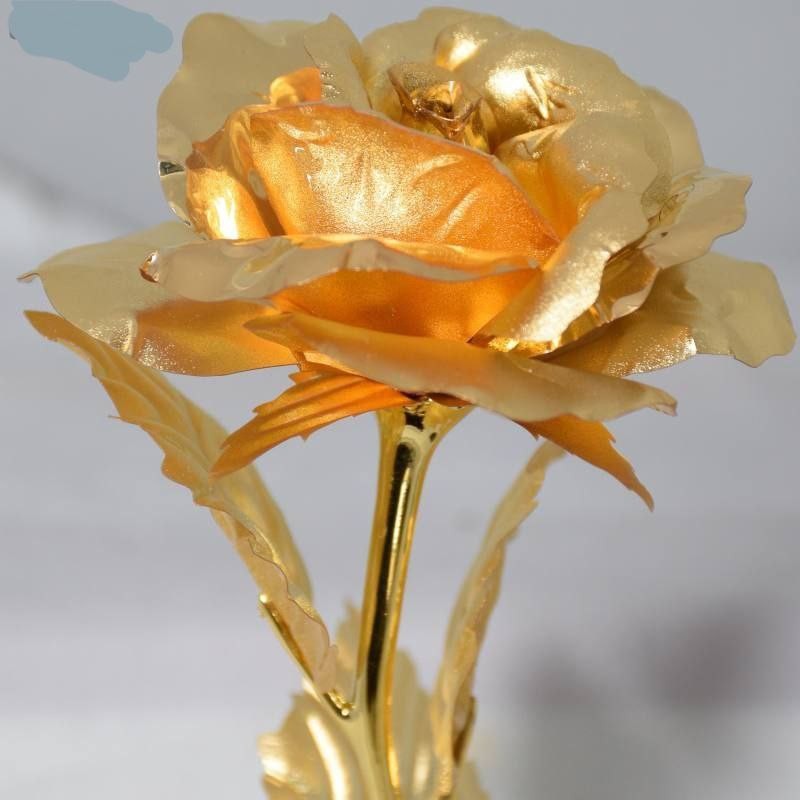 گل طلایی چراغدان 