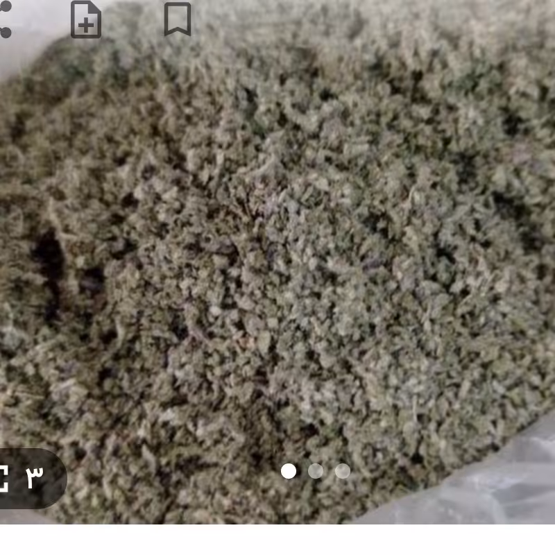 پونه لرستان 