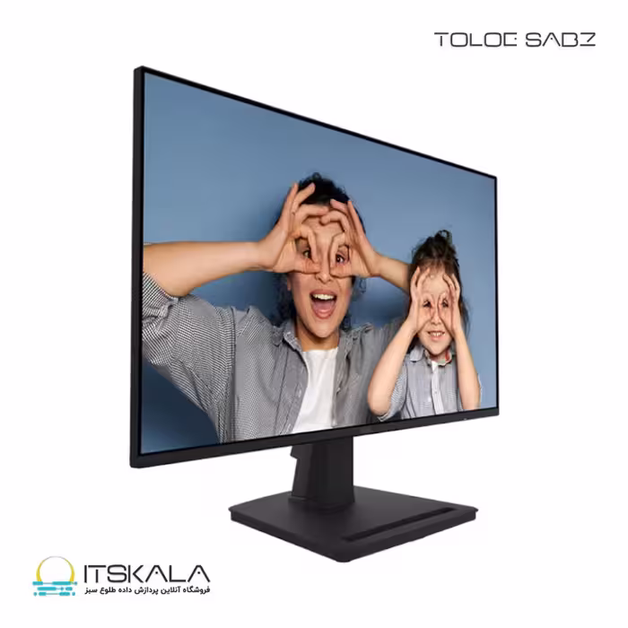 قیمت و خرید مانیتور ام اس آی 25 اینچ مدل PRO MP252 | ITSKALA