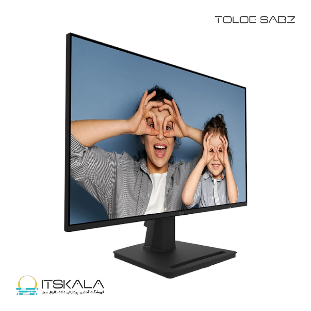 قیمت و خرید مانیتور ام اس آی 25 اینچ مدل PRO MP252 | ITSKALA