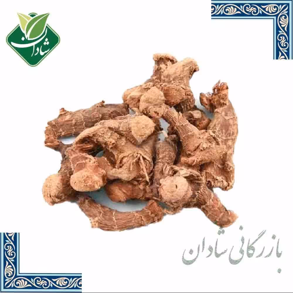 ریشه خولنجان 50 گرم
