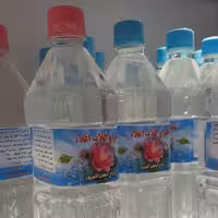 گلاب معمولی