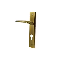 دستگیره پلاک سوئیچی زیتونی نیکو مدل 200