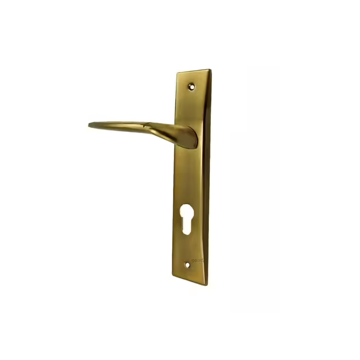 دستگیره پلاک سوئیچی زیتونی نیکو مدل 200