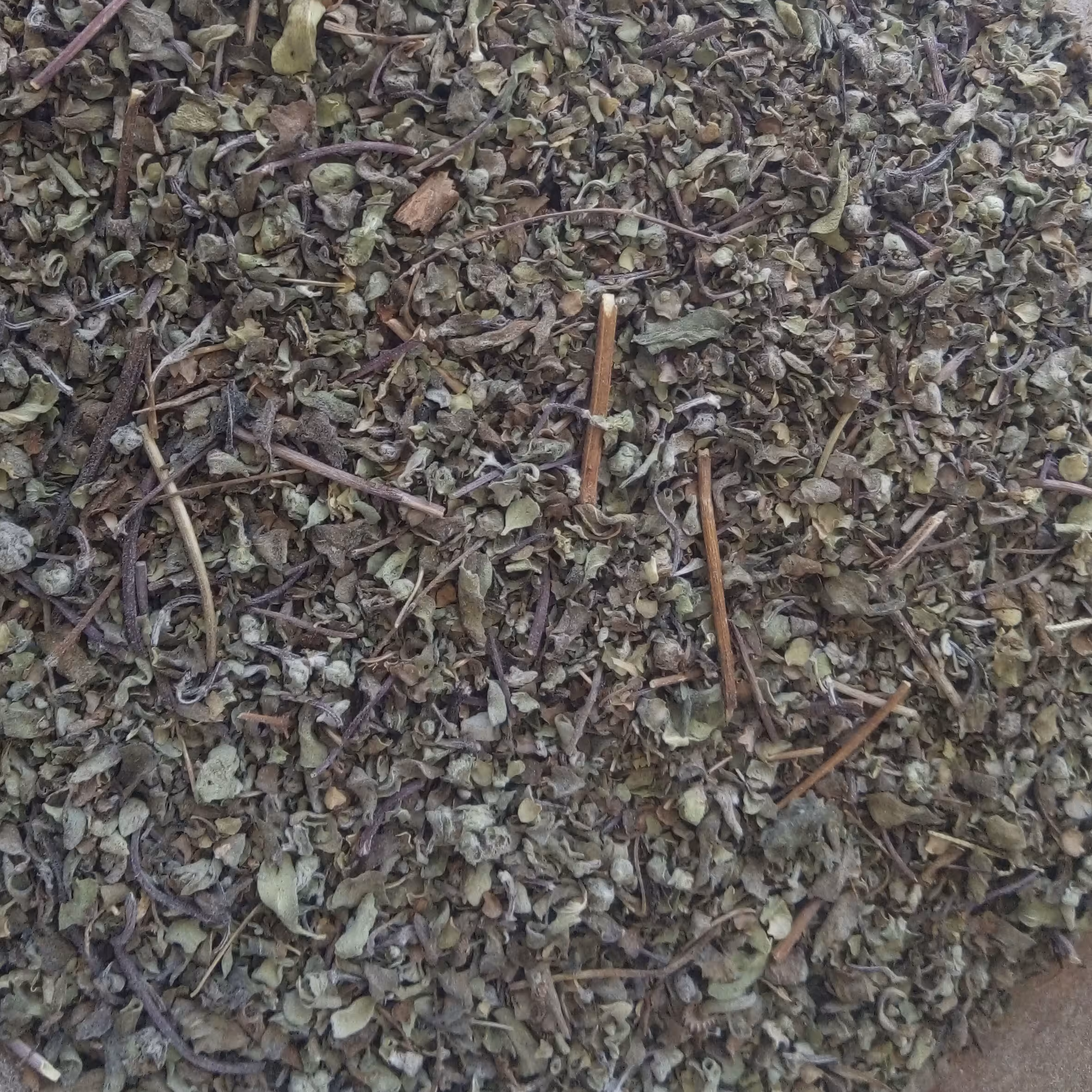 مرزن جوش یزدی 