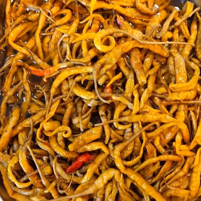 ترشی فلفل خانگی تند و عالی