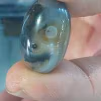 نگین عقیق دزد بغداد (مصور وکلکسیونی)