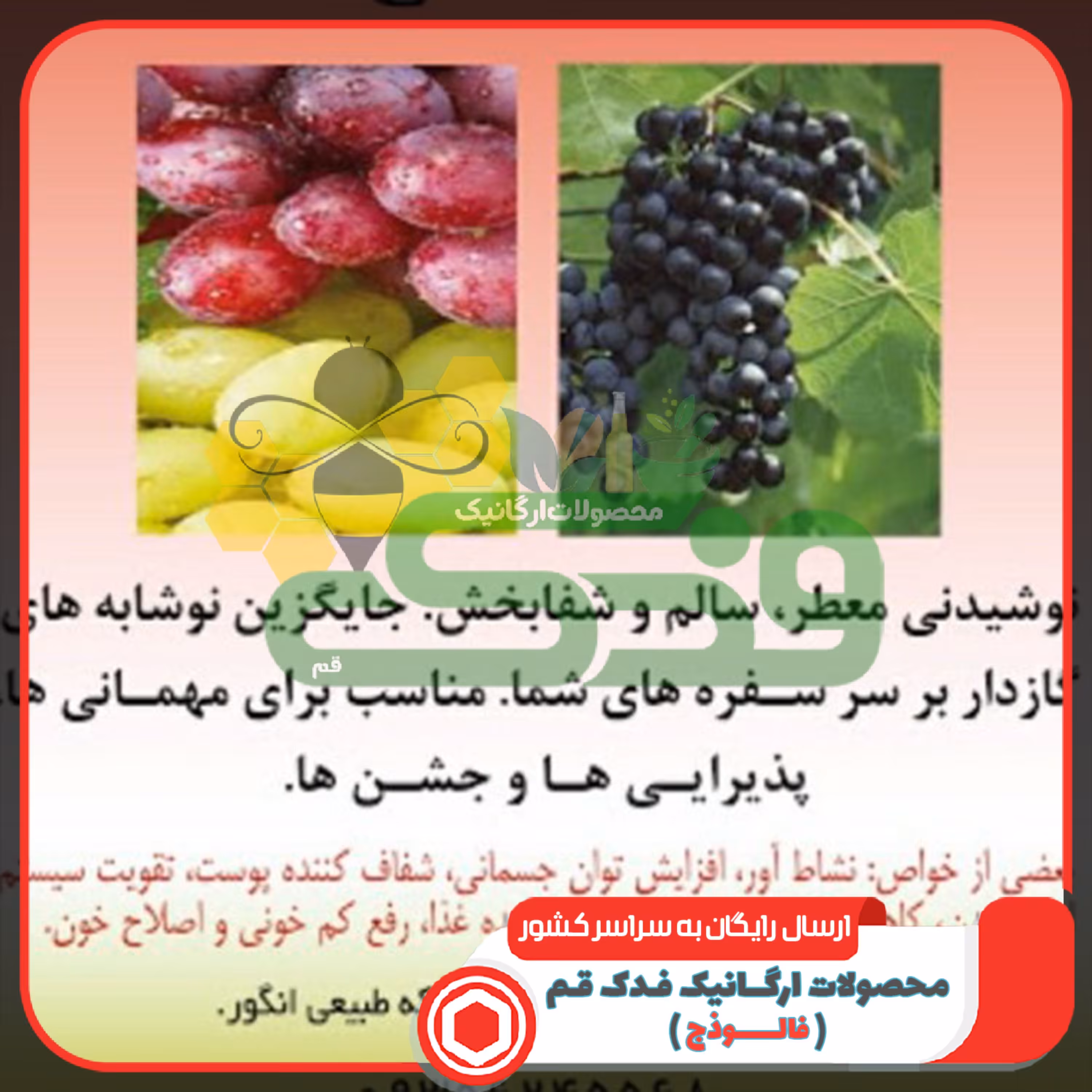 سرکه شیره اعلاء فدک (600گرم)