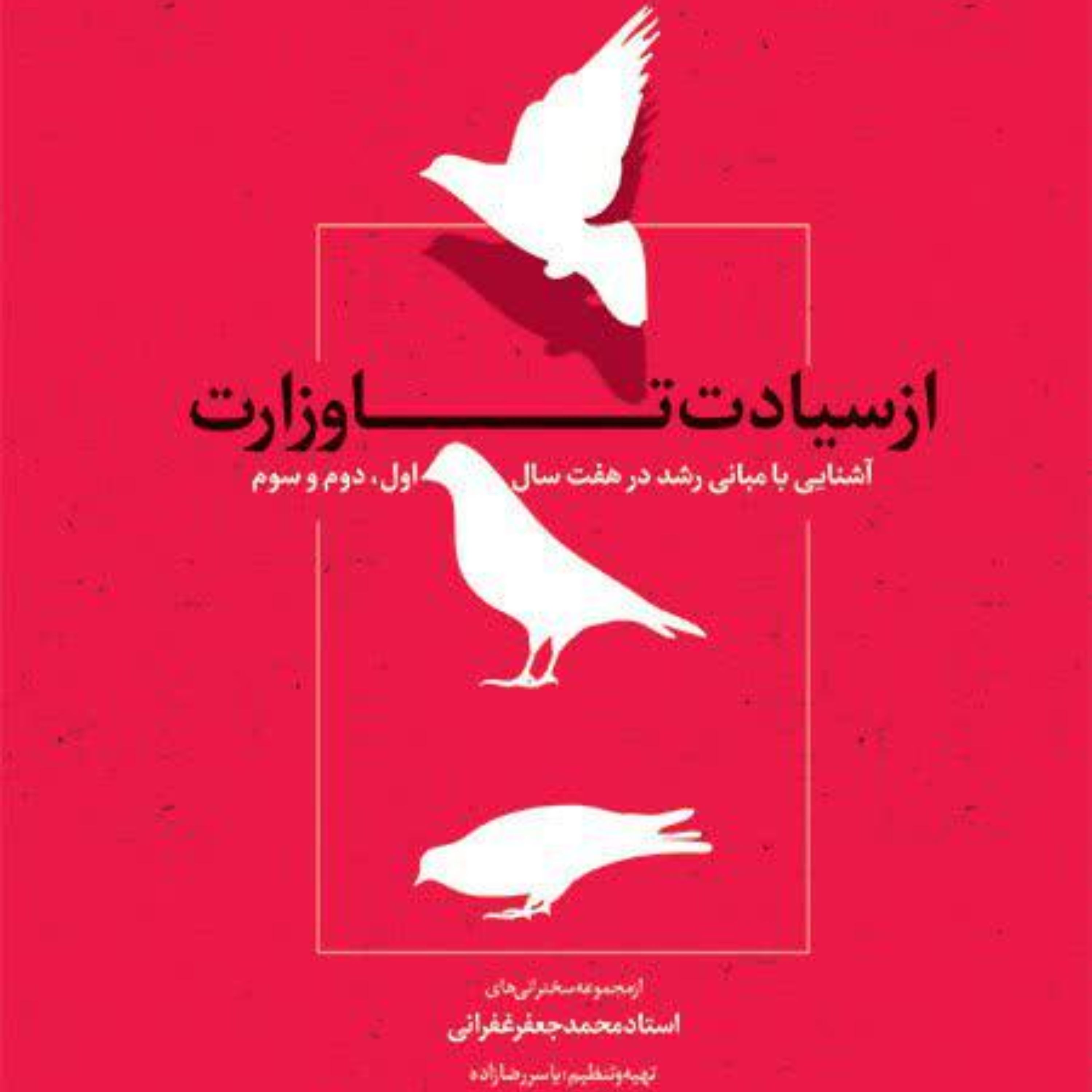 از سیادت تا وزارت