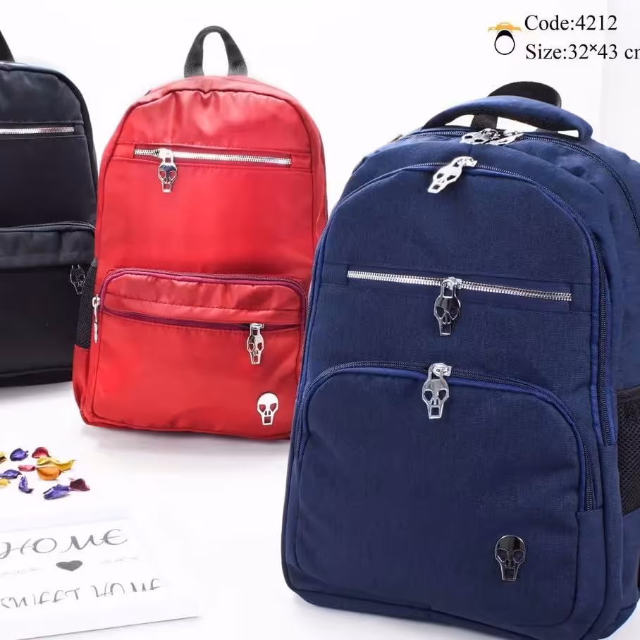 کیف کوله اسکلتی 