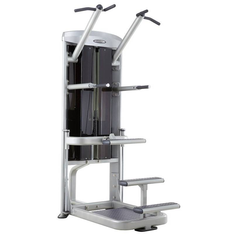 دستگاه پارالل بارفیکس کمکی استیل فلکس  Steel Flex MCD 2100