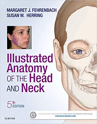  دانلود کتاب Illustrated Anatomy Of The Head And Neck, 5th ed, 2016 - دانلود کتاب های دانشگاهی