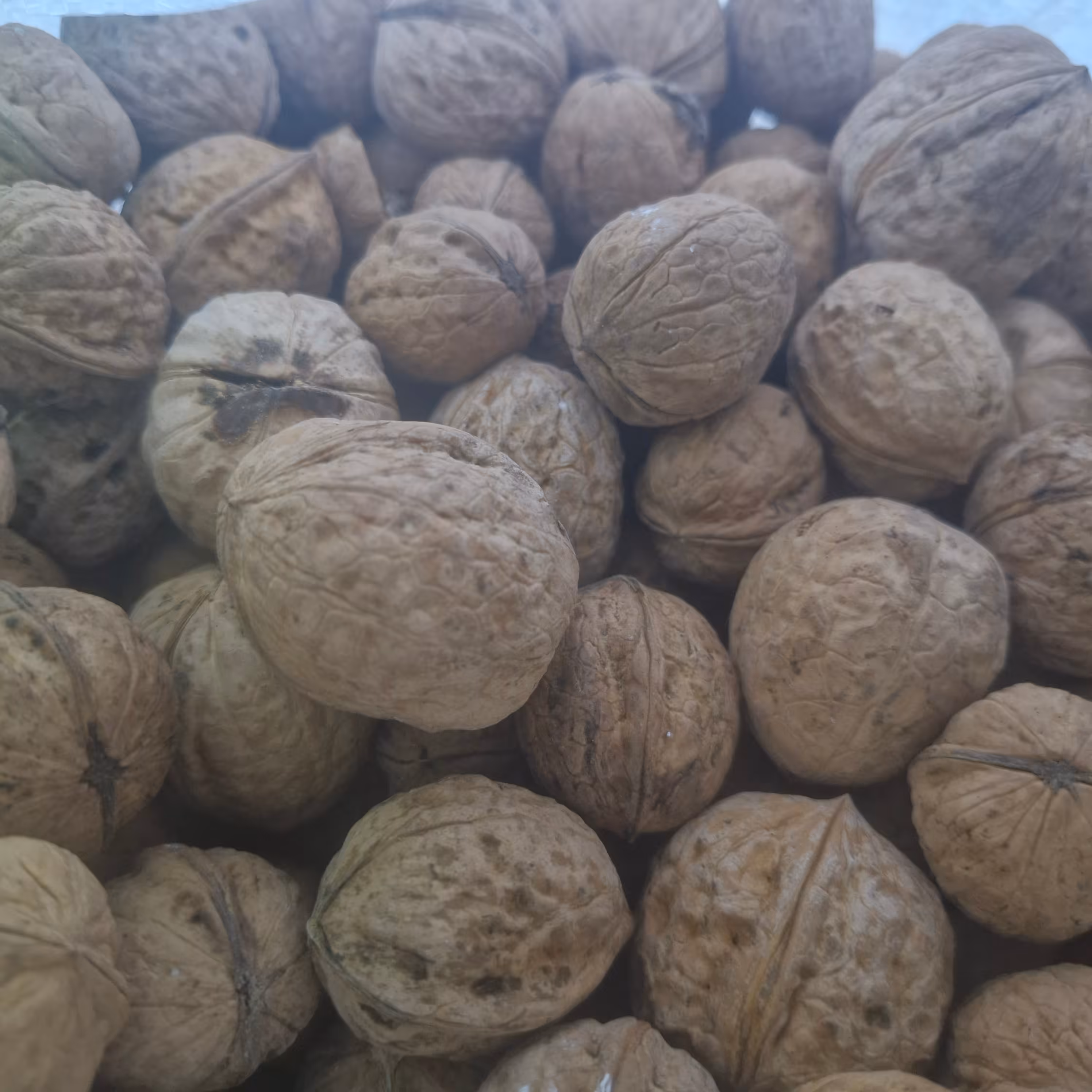 گردو اعلا یک کیلو