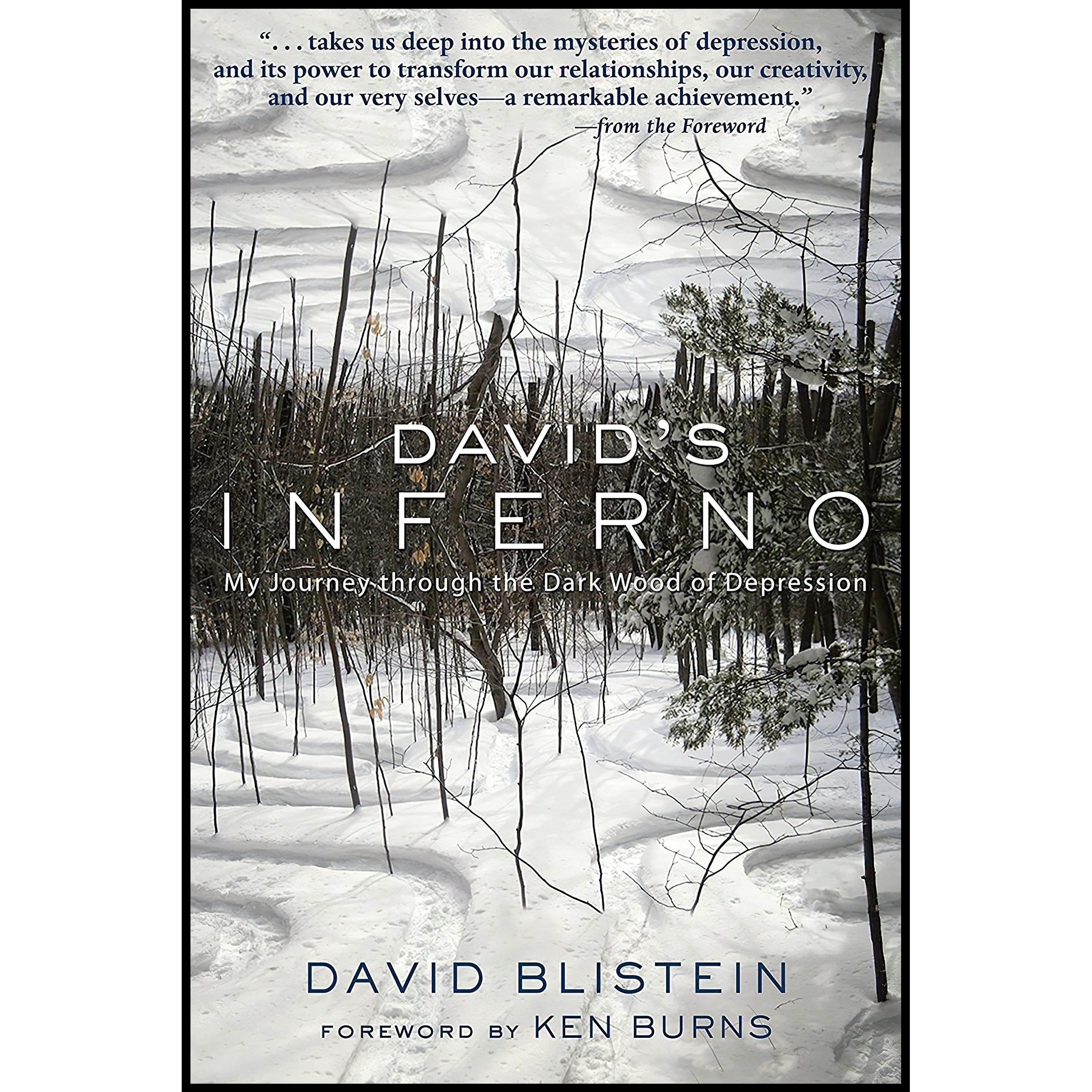 کتاب زبان اصلی Davids Inferno اثر David Blistein and Ken Burns