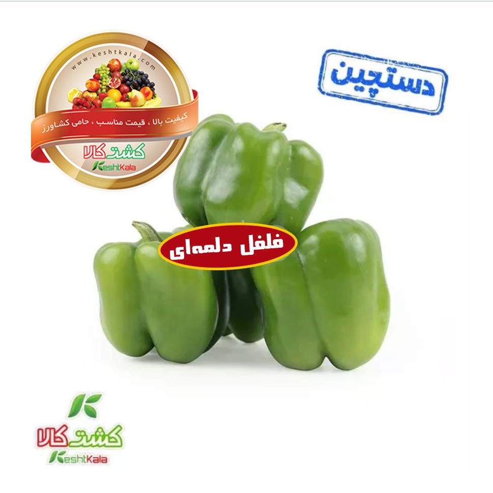 فلفل دلمه دستچین فله