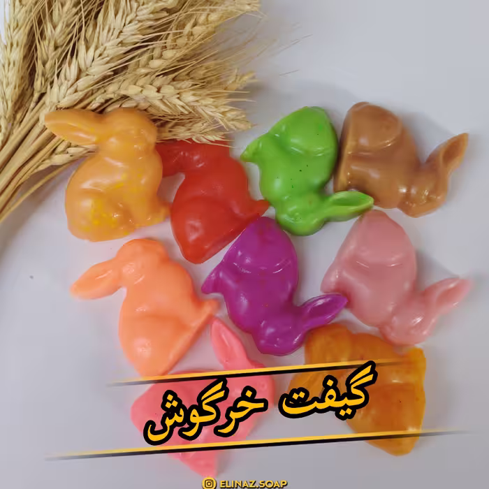 گیفت خرگوش