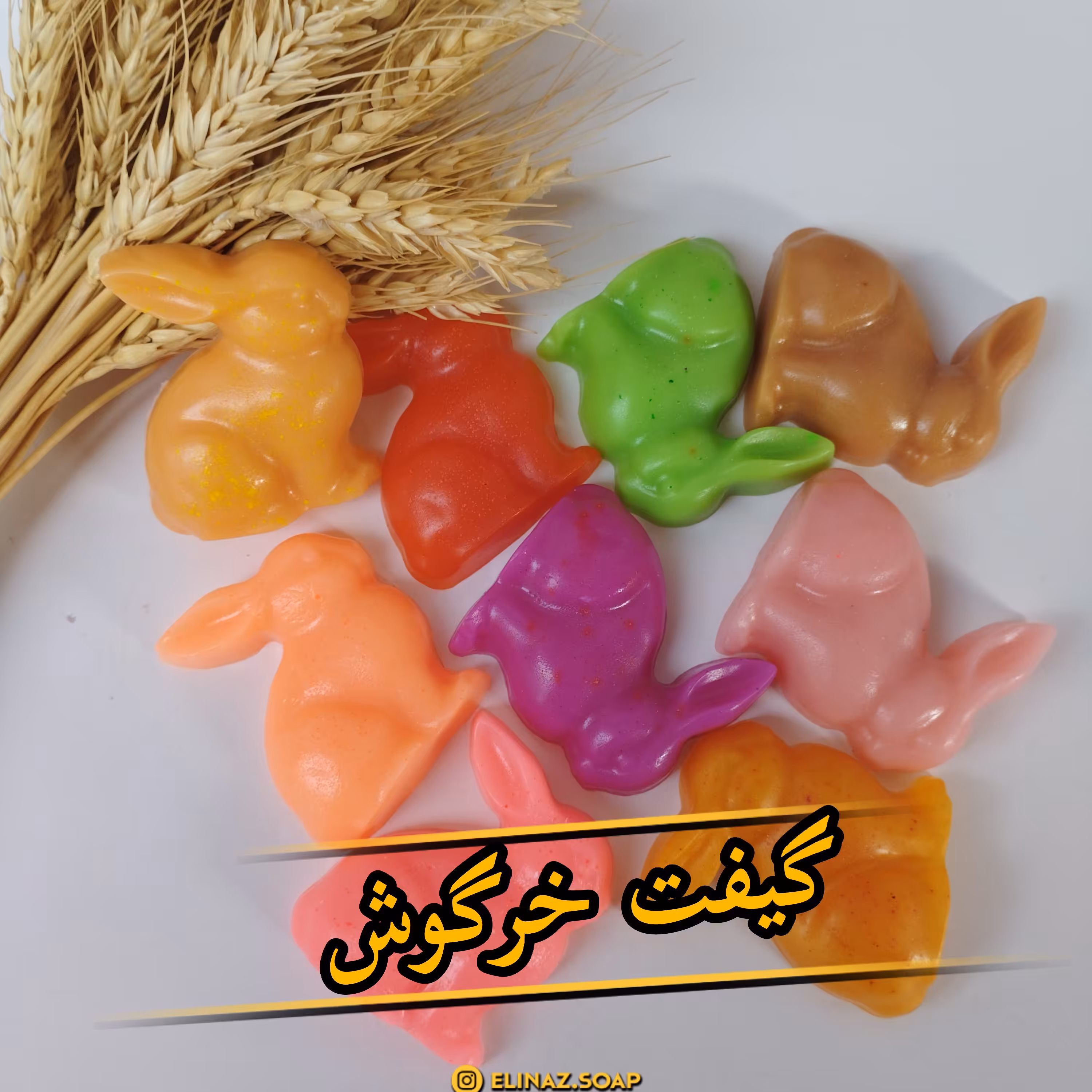 گیفت خرگوش