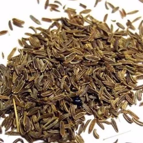 زیره سیاه کوهی تازه و درجه یک(50گرم)