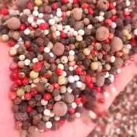 فلفل رنگی 1 کیلوگرم ارسال رایگان 