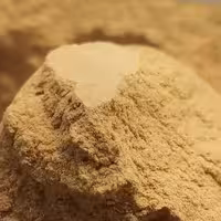 ادویه فلافل اعلا 100 گرم