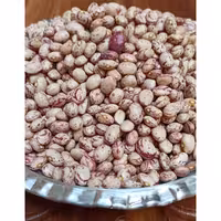 لوبیا چیتی مرغوب و خوشپخت  یک  کیلو گرمی  