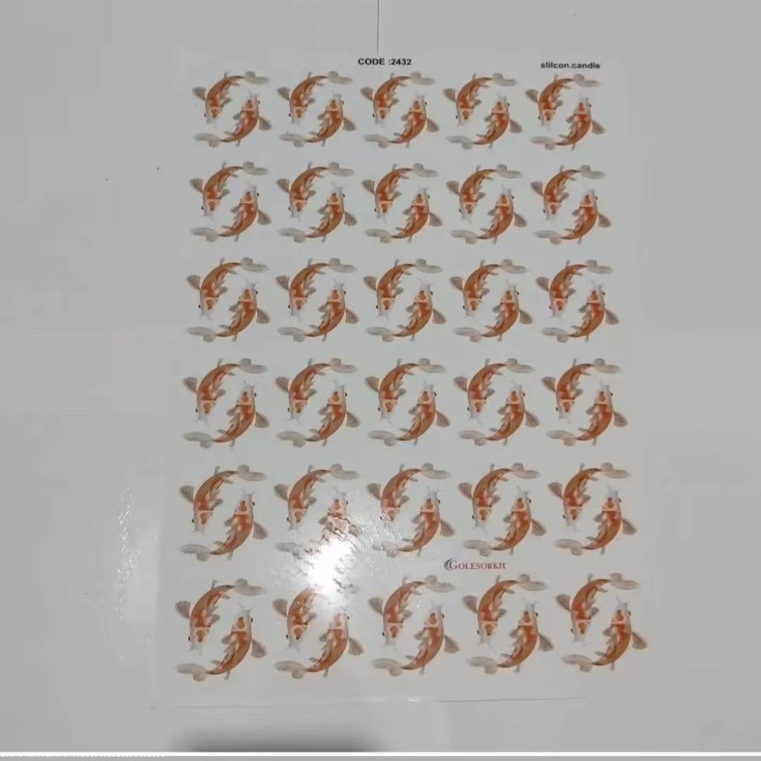 ترانسفر ماهی 5