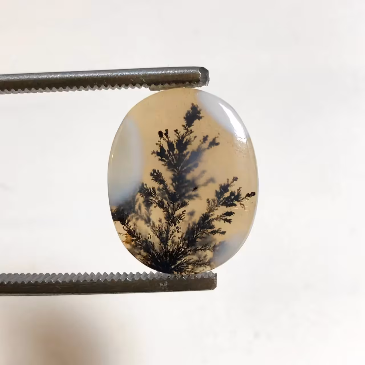 عقیق شجر هند اصل 250024