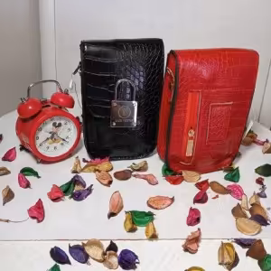 کیف پاسپورتی