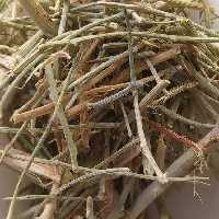 500 گرم گیاه خار شتر خارشتر 