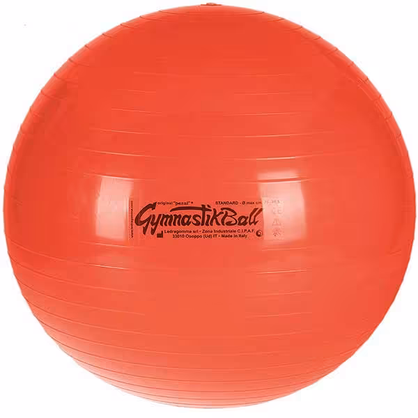 توپ پیلاتس لدراگوما قطر 75 سانتی متر مدل LEDRAGOMMA MAXAFE