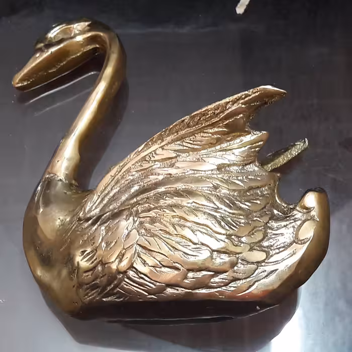 جاقاشقی برنز قو کوچک 