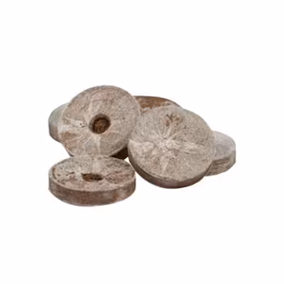 قرص جی فی پلت