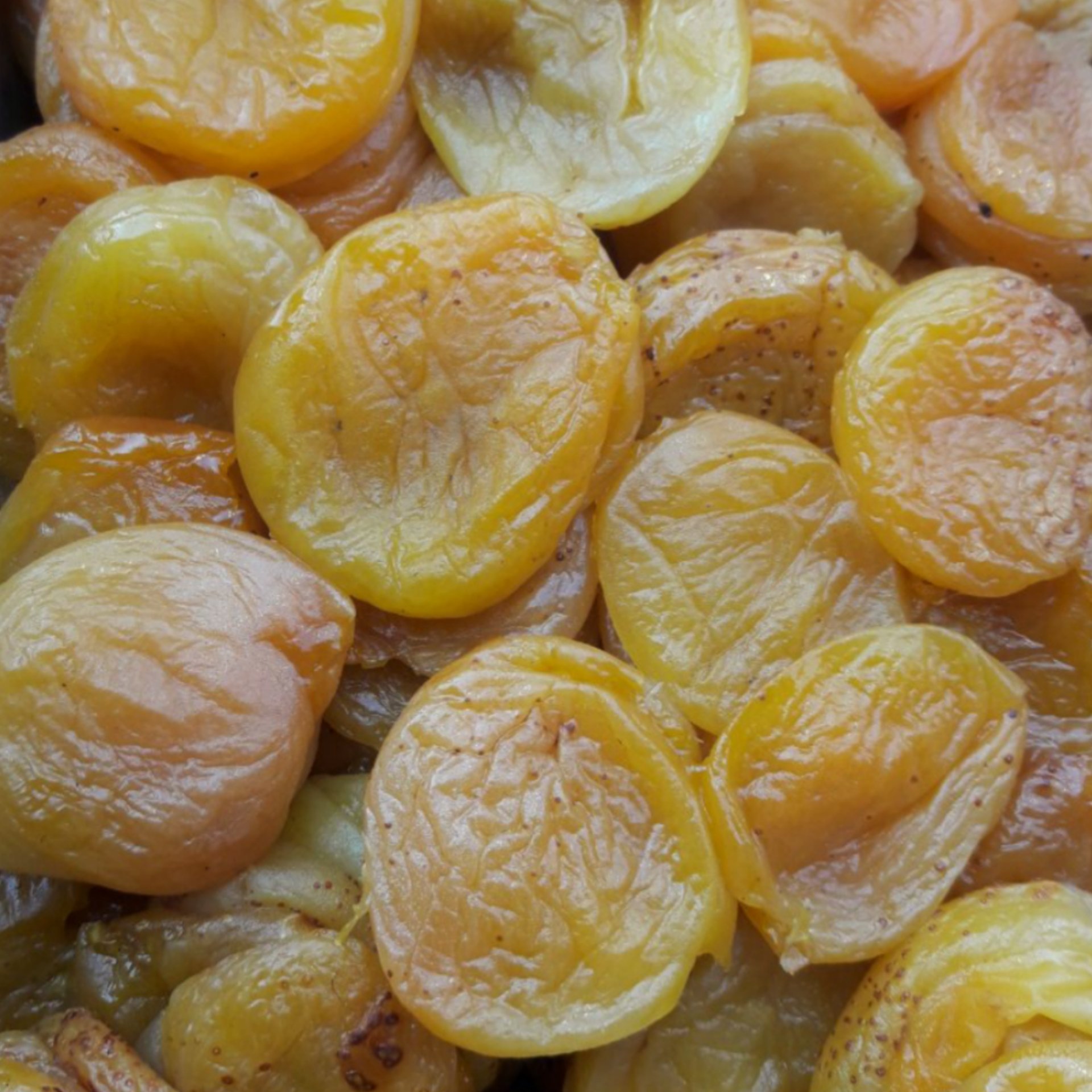 برگه قیسی
