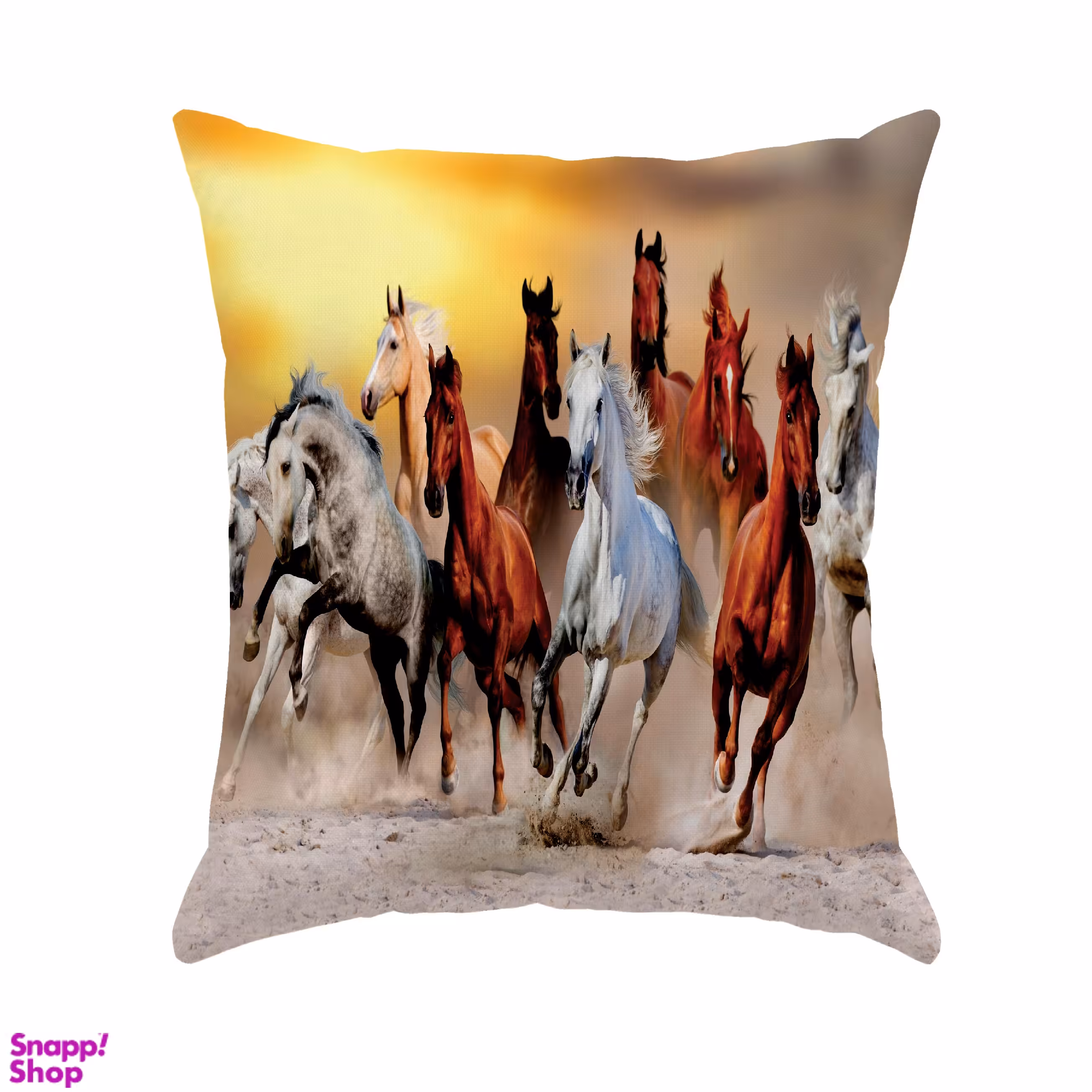 کوسن سایز بزرگ مدل S3-10317 چند رنگ