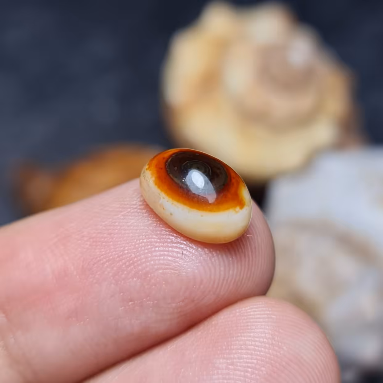  نگین فوق العاده زیبای سنگ عقیق باباقوری اصل معدنی
کد 28089