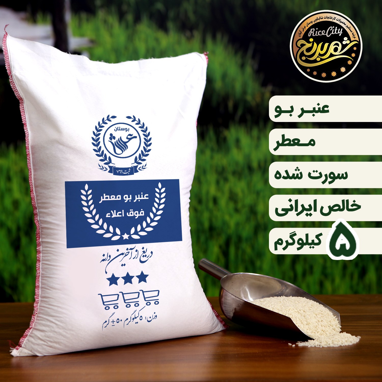 برنج عنبر بو درجه یک جنوب (5 کیلویی) تضمین کیفیت عنبربو خوزستان