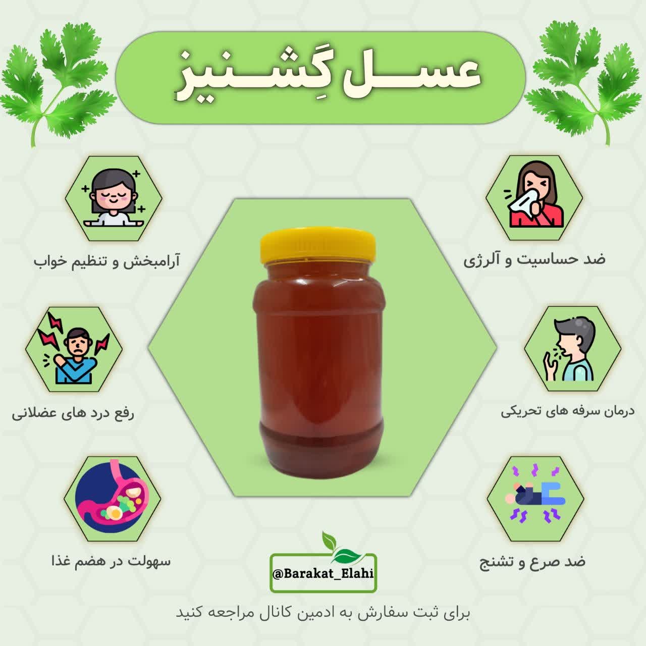 عسل طبیعی گشنیز (یک کیلویی خالص)