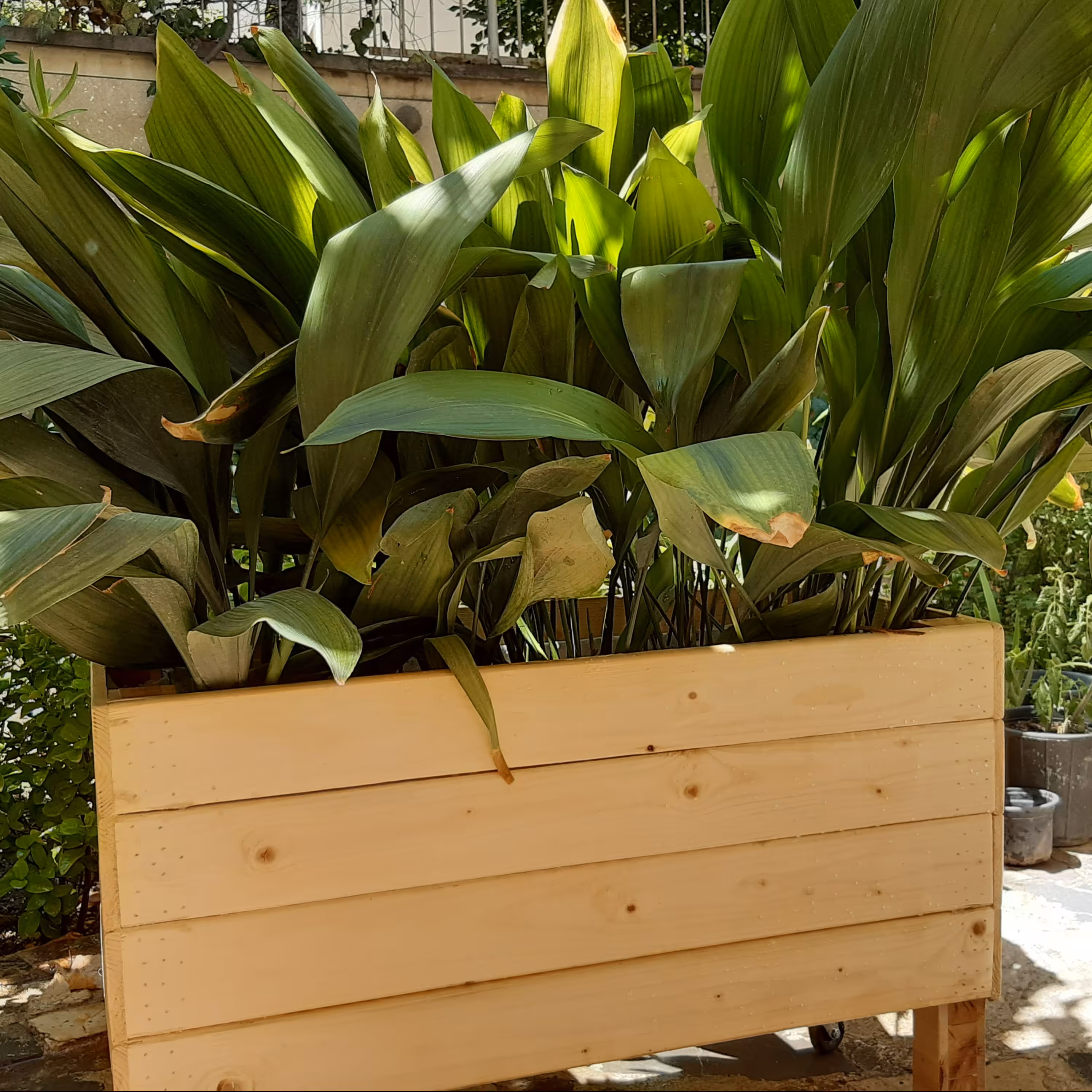 باکس  چوبی گل - جعبه چوبی مناسب گیاهان آپارتمانی - باکس گلدان چوبی- گلدان  چوبی بزرگ