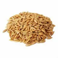 جو دوسر محلی فدک