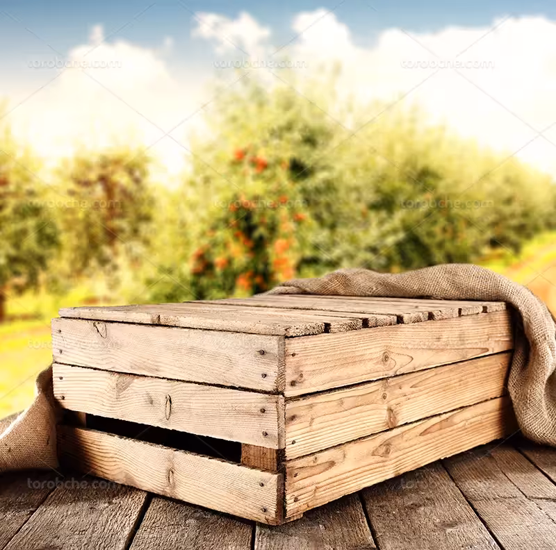 عکس جعبه چوبی | گرافیک با طعم تربچه