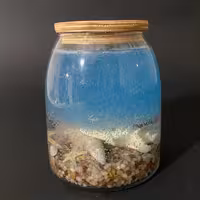 شمع تنگ اقیانوس 