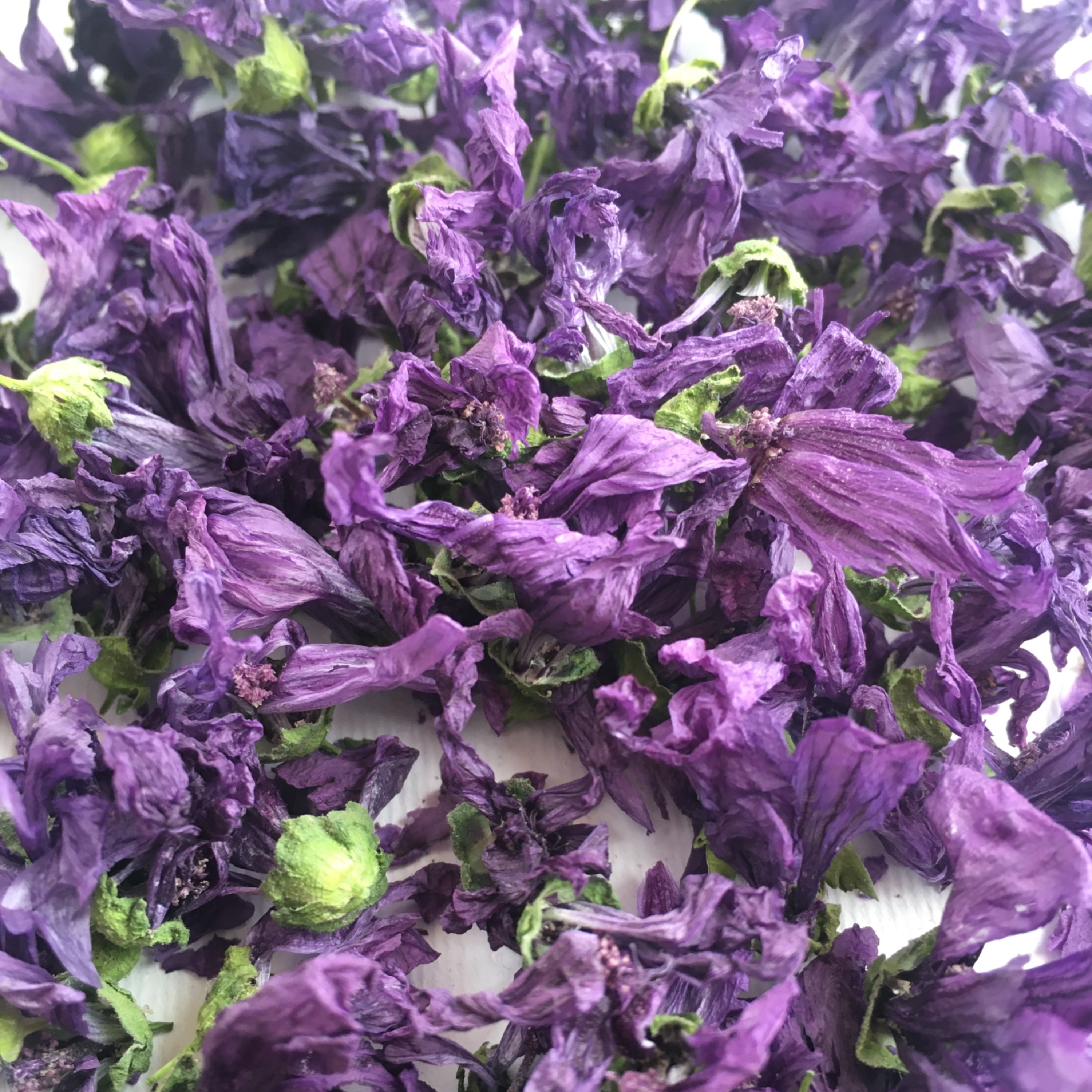 گل پنیرک 10 گرمی در بسته بندی کرافت تازه و خوش رنگ