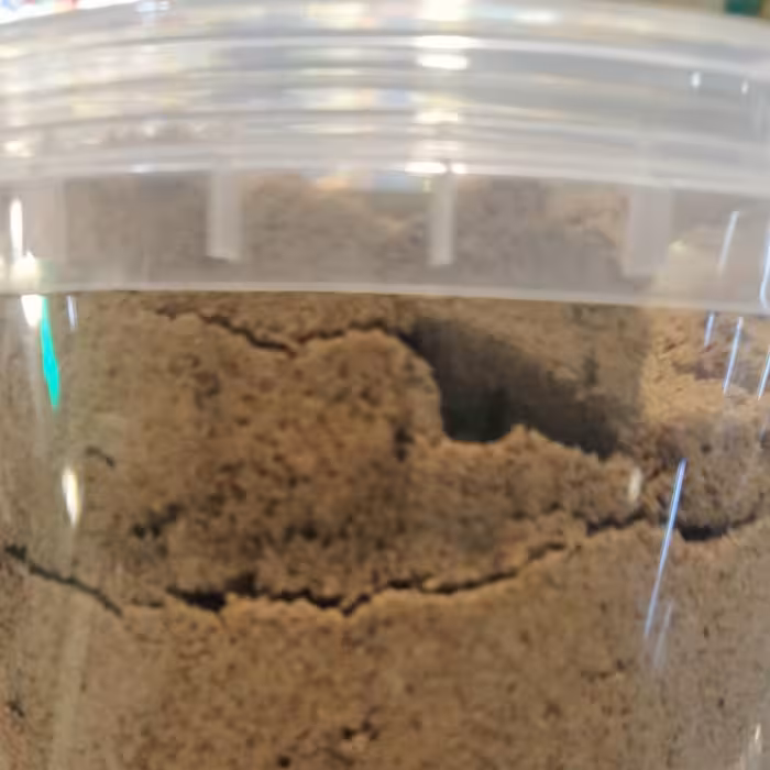 قوتو و قاووت اصل کرمان(250 گرم) 
قاووت 