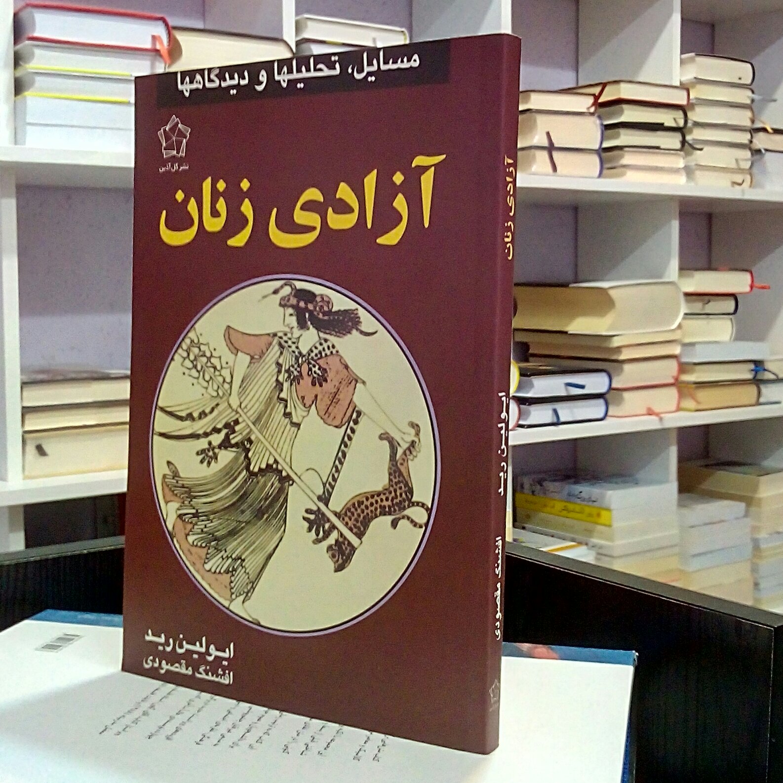 آزادی زنان ، ایولین رید ، مقصودی